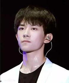 湖南怀化的明星有哪些