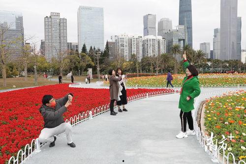 小榄网红打卡地景点图片,光影交织的美丽瞬间”