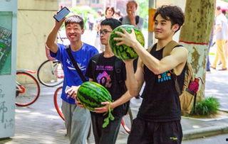 太原学院吃瓜,揭秘校园热点事件背后的故事