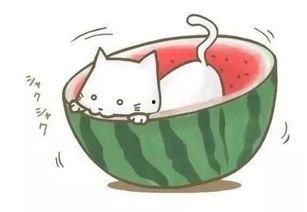 回家吃瓜看球,回家吃瓜看球，享受悠闲时光