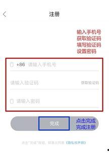 头条手机注册号码怎么填,头条手机注册号码填写攻略，轻松完成注册体验畅快无忧！”