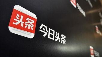 大连金州地区今日头条,民生工程进展与区域发展新动态