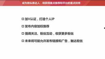 怎么粘贴今日头条文章,轻松掌握高效复制技巧