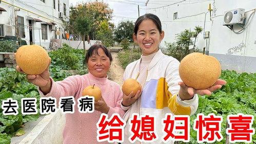 大院媳妇的吃瓜日常,揭秘邻里琐事与生活百态