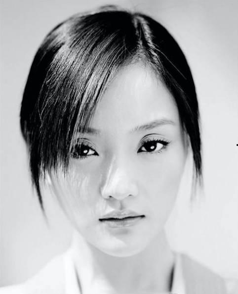 明星艺人大全,明星艺人大全风采掠影