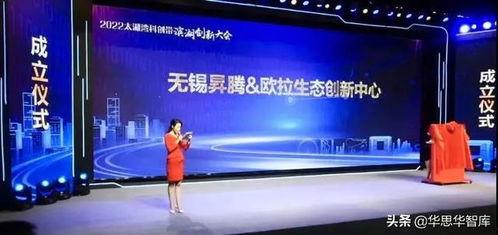 今日头条广东揭东新闻,聚焦揭东发展动态，展现魅力乡村新面貌